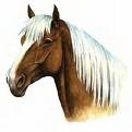 cheval